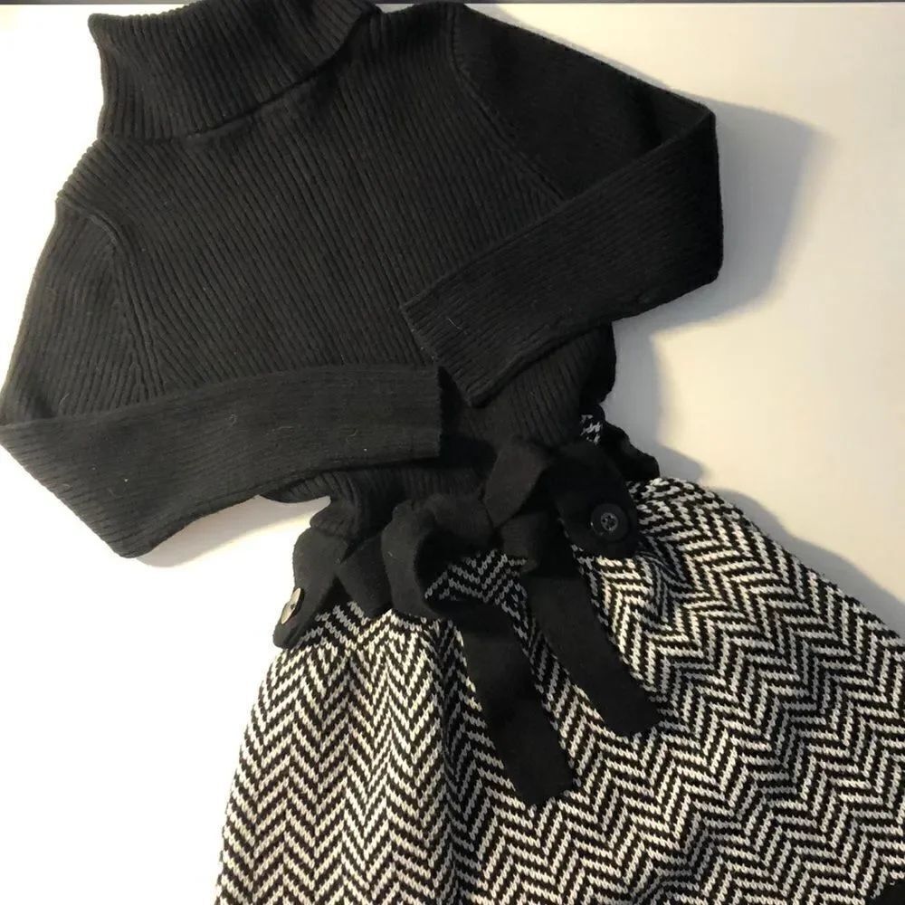 Adorable Long Sleeve Turtleneck Dress